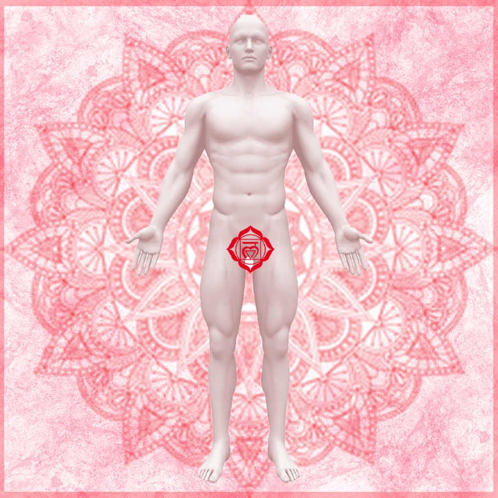 Primer Chakra